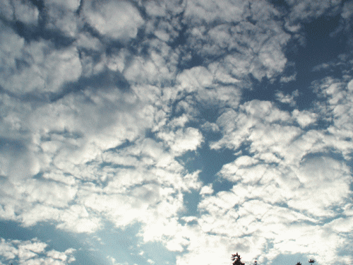 ひつじ雲−１