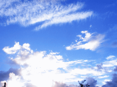 いろいろな雲の〔かたち〕がまじる空 　写真[内藤景代の瞑想フォト･エッセイ]
