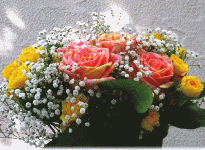 黄色とピンクの絞り模様のバラ(薔薇)　花籠(はなかご)